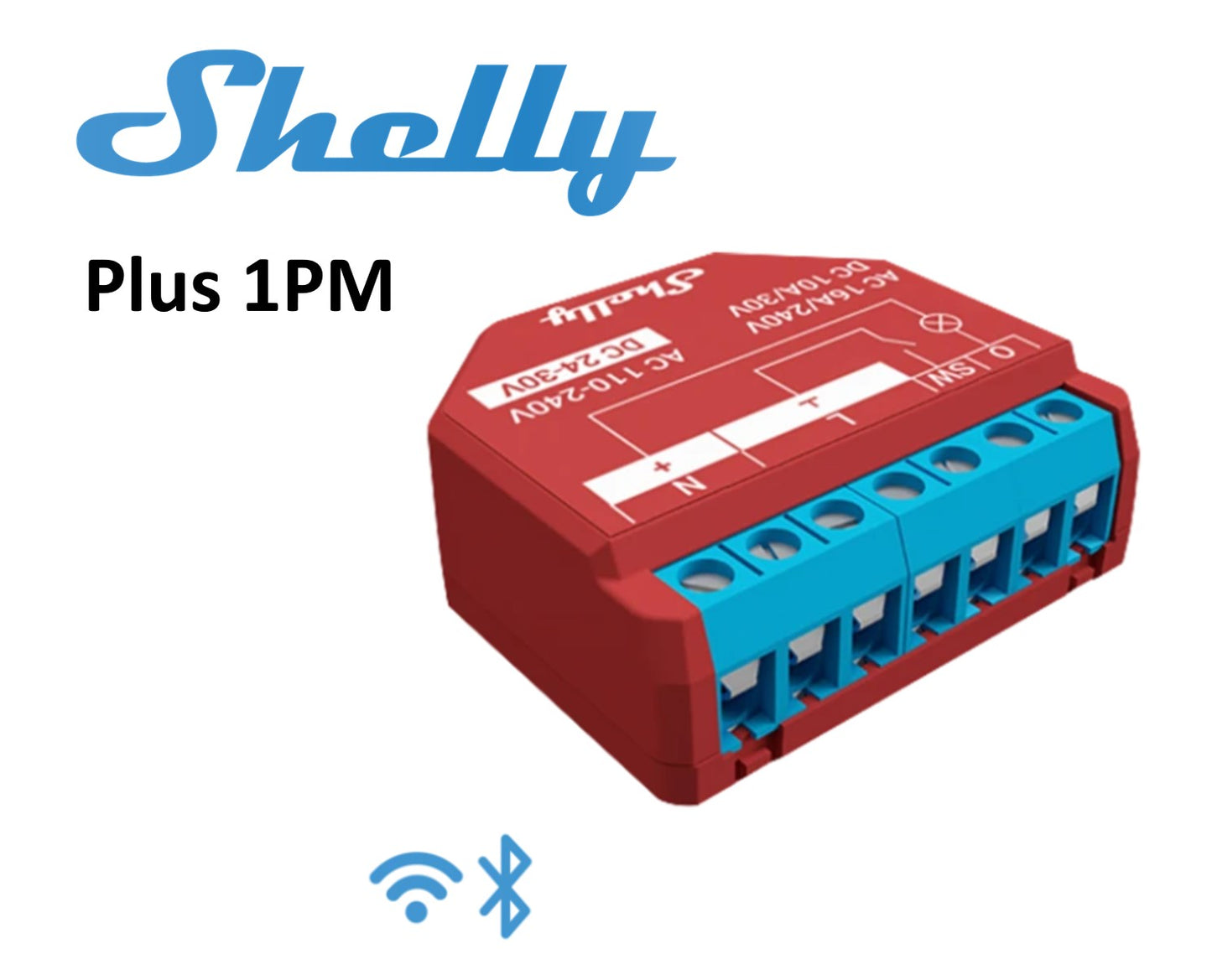 Shelly Plus 1PM